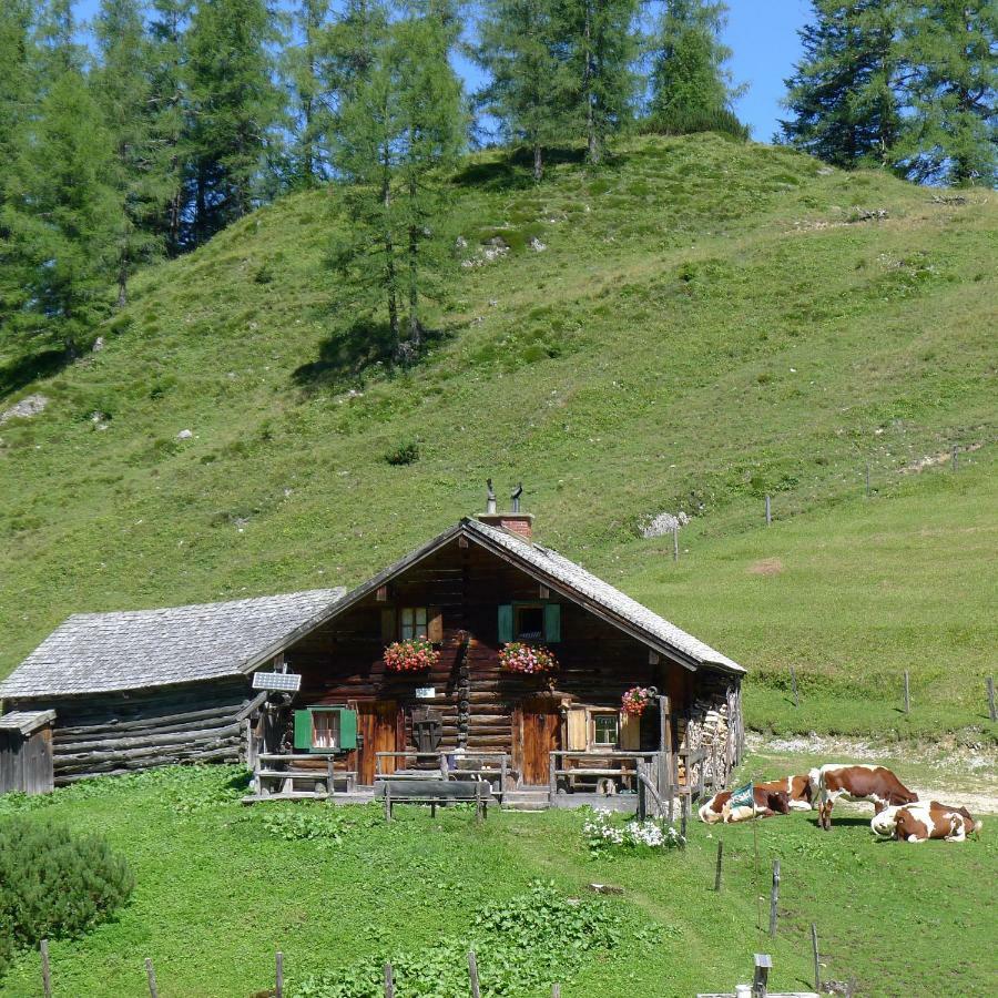 Apartmán Alpenhaus Dachstein.Zauber Abtenau Exteriér fotografie